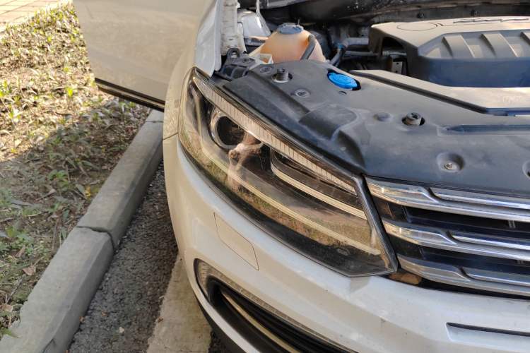 Used Zotye T600 Coupe 2017 1.5T Automatic Luxury Model Right Front Headlight