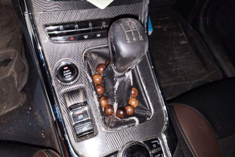 Used Leopaard CS9 2017 1.5L Manual Fashion Model