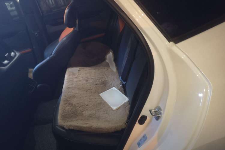 Used CHANGAN UNI-V iDD 2023 ZhiDian iDD 1.5T 113km Smart & Fun Version Left Rear Seat