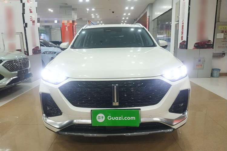 Used Wey Latte DHT-PHEV 2022 1.5T Four-Wheel Drive Extra-Large Version