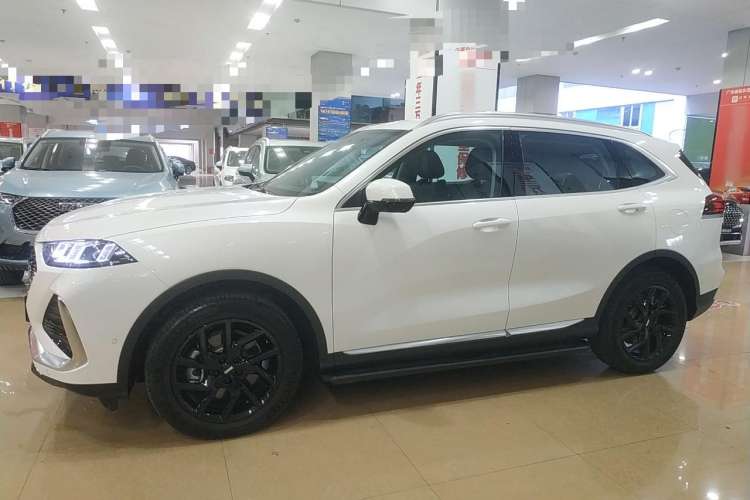 Used Wey Latte DHT-PHEV 2022 1.5T Four-Wheel Drive Extra-Large Version