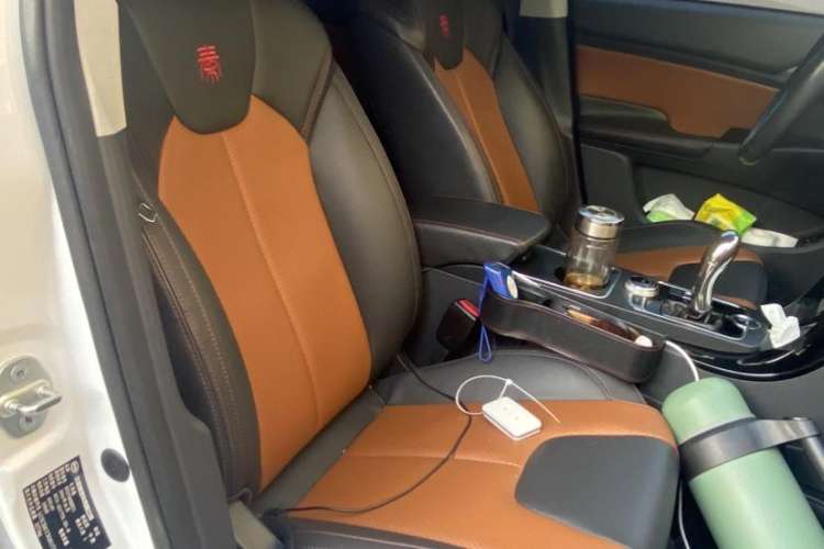 Used BYD Qin New Energy 2016 Qin EV300 Prestige Model
