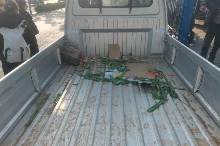 Used Wuling Zhiguang Small Truck 2020 1.2L Double Cab