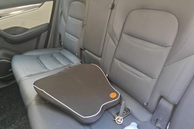 Used WM Motor EX5 2020 EX5-Z Fun Dynamic Edition Left Rear Seat