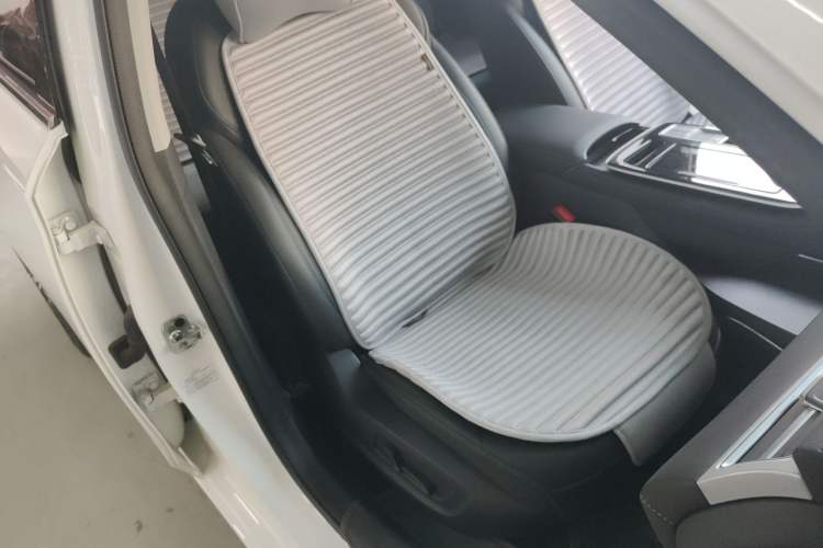 Used Rising ER6 2021 New Dynamic Edition 620km Smart Enjoyment Version