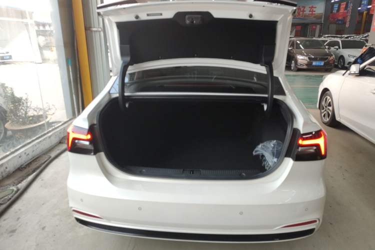 Used Rising ER6 2021 New Dynamic Edition 620km Smart Enjoyment Version