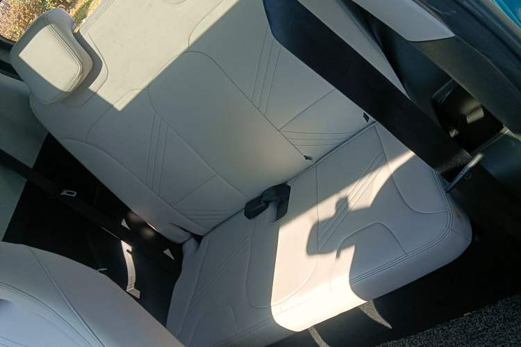 Used Chery New Energy Little Ant 2021 200 000 Yuan "Ant Fan" Edition Energized Version NMC Lithium Battery 301 km