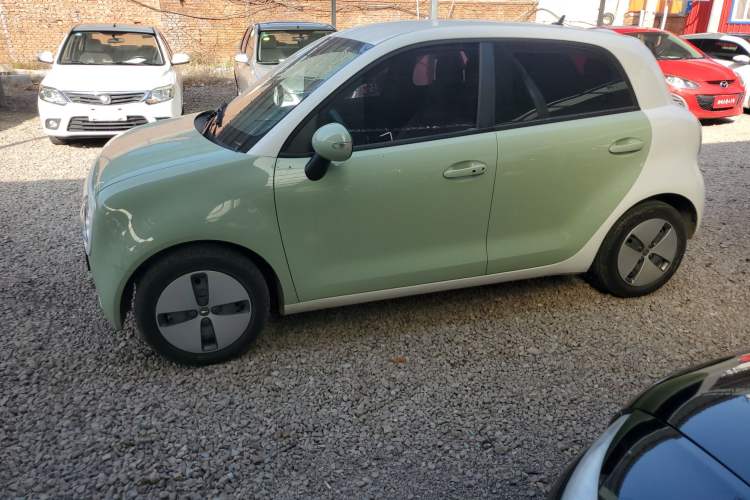 Used ORA Black Cat 2022 301km Base Version Ternary Lithium
