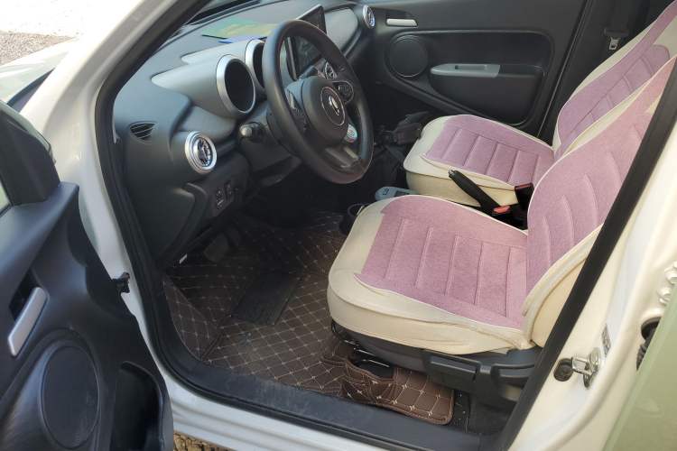 Used ORA Black Cat 2022 301km Base Version Ternary Lithium
