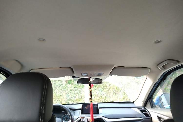 Used Dongfeng Fengon S560 2019 1.8L Manual Urban Model Headliner