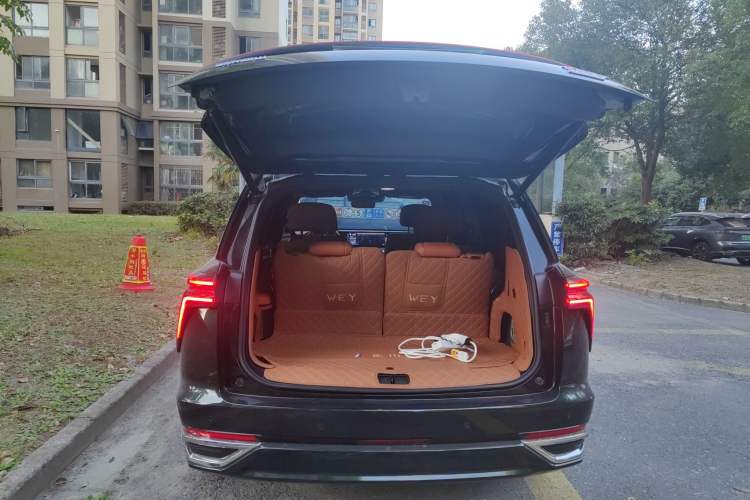 Used Wey Lanshan 2023 Four-Wheel Drive Ultra-Long Range Version Trunk