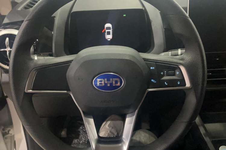 Used BYD S2 
