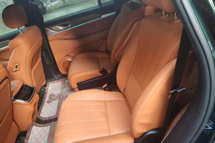 Used Wey Lanshan 2023 Four-Wheel Drive Ultra-Long Range Version Left Rear Seat