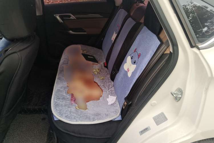 Used BAIC Changhe A6 2018 1.5L CVT Luxury Edition
