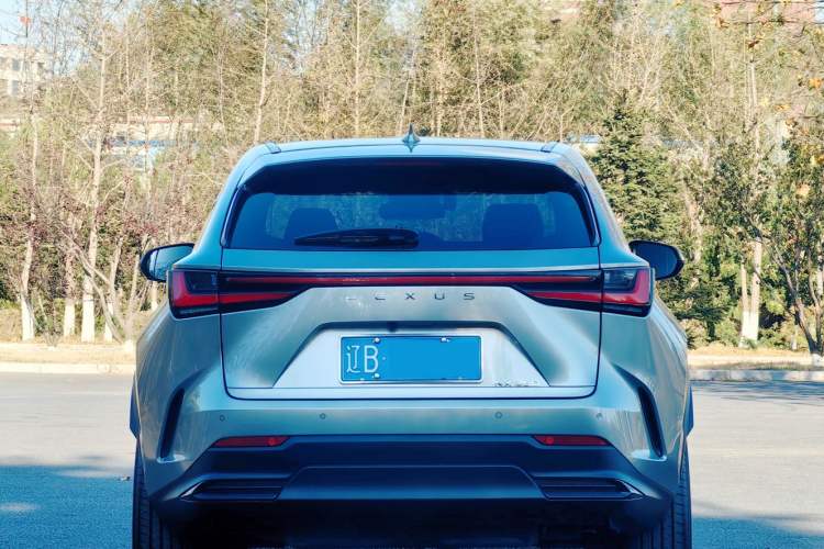 Used Lexus NX 2022 260 Front-Wheel Drive Chuan Yue Edition