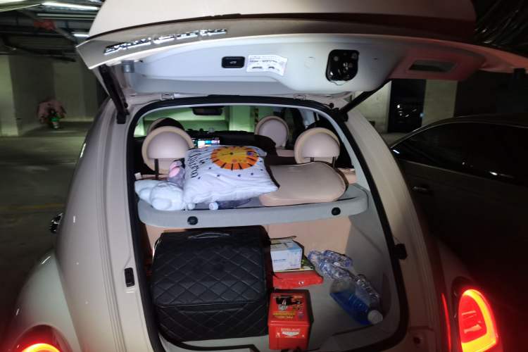 Used ORA Ballet Cat 2022 401 km Nutcracker Edition
