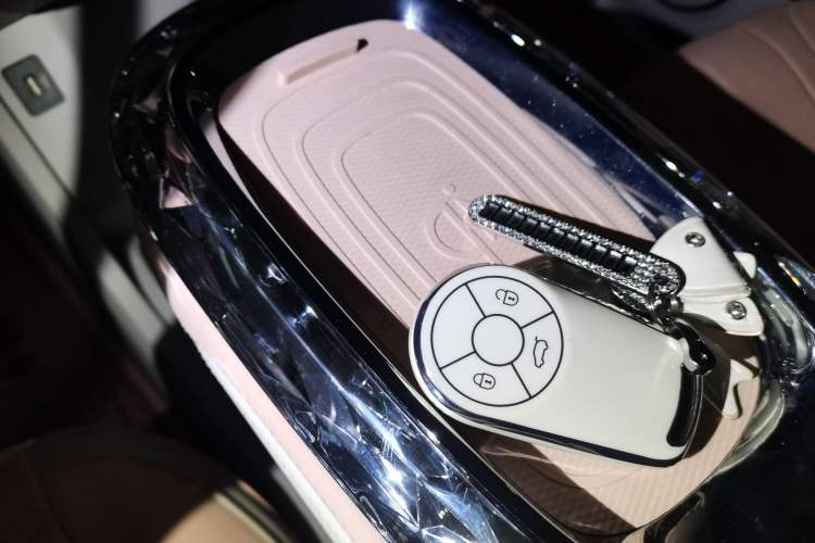 Used ORA Ballet Cat 2022 401 km Nutcracker Edition
