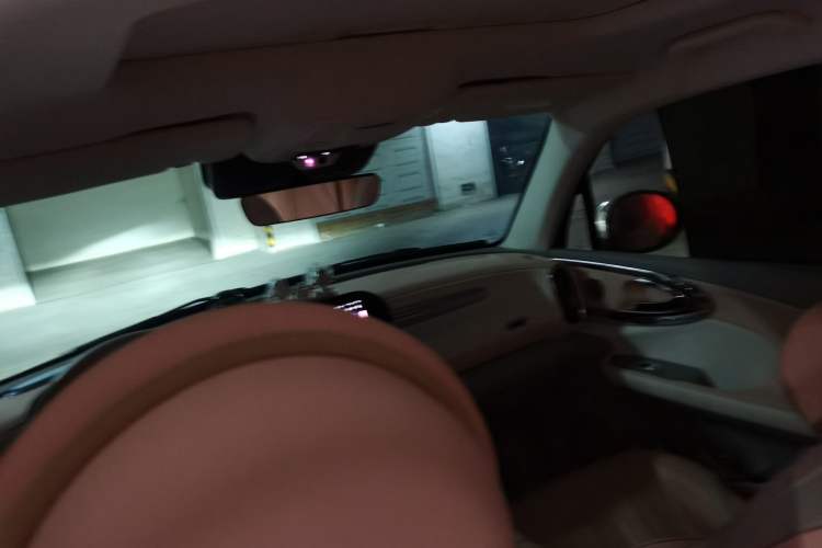 Used ORA Ballet Cat 2022 401 km Nutcracker Edition
