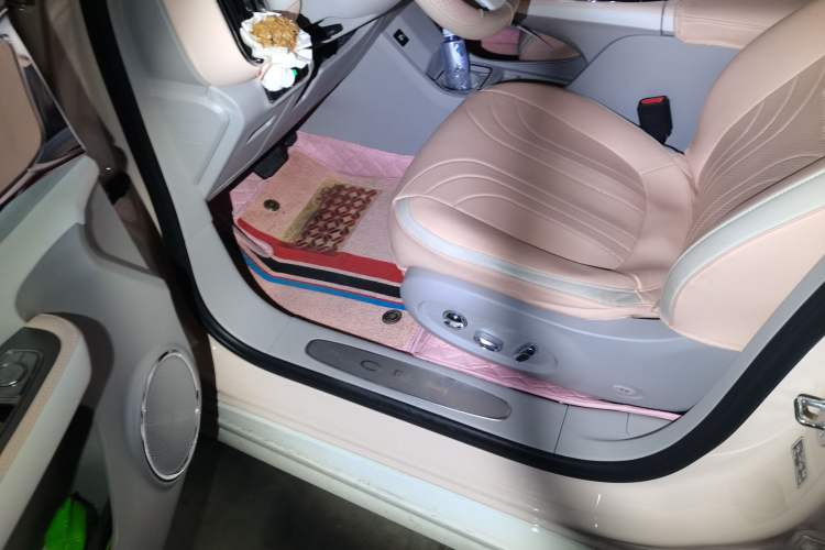 Used ORA Ballet Cat 2022 401 km Nutcracker Edition
