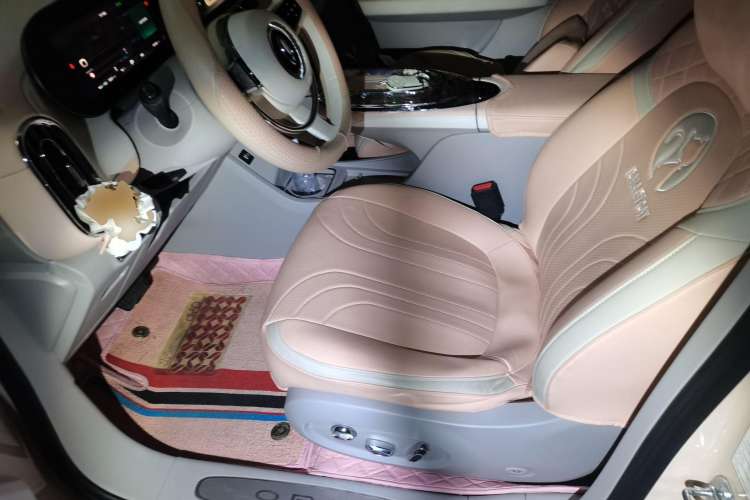 Used ORA Ballet Cat 2022 401 km Nutcracker Edition
