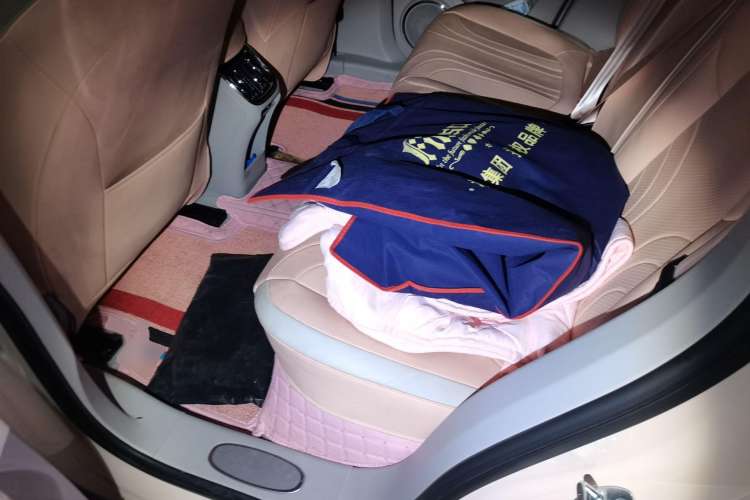 Used ORA Ballet Cat 2022 401 km Nutcracker Edition
