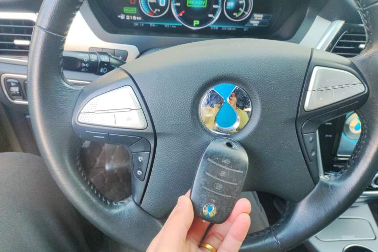 Used Denza Denza 2017 Stylish Edition
