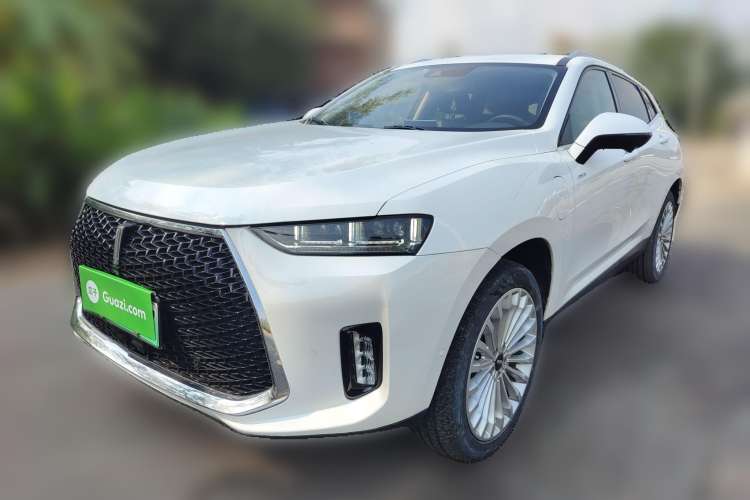 Used Wey P8 2018 2.0T Flagship Model