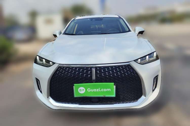 Used Wey P8 2018 2.0T Flagship Model