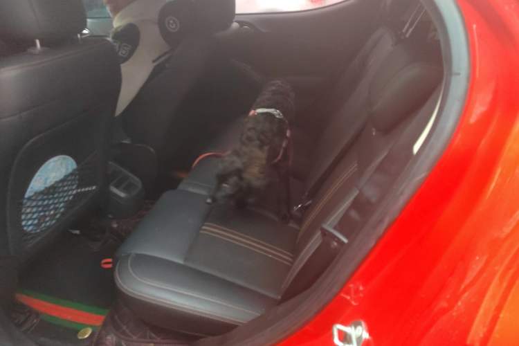 Used BYD Yuan 2017 1.5L Automatic Cool & Connected Model
