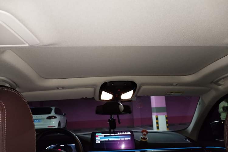 Used BMW 5 Series New Energy 2021 535Le Luxury Package Headliner