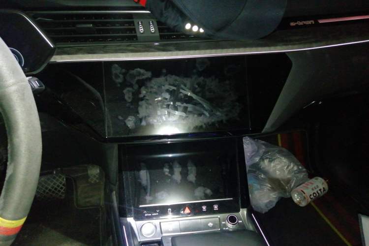 Used Audi e-tron 2019 55 quattro Technology Edition