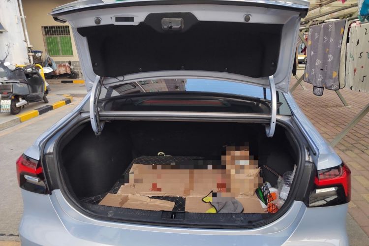 Used Rising ER6 2020 620 km Smart Drive Version
