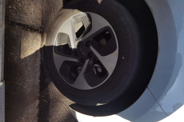 Used JAC Yiwei 3 2023 505 km Championship Edition