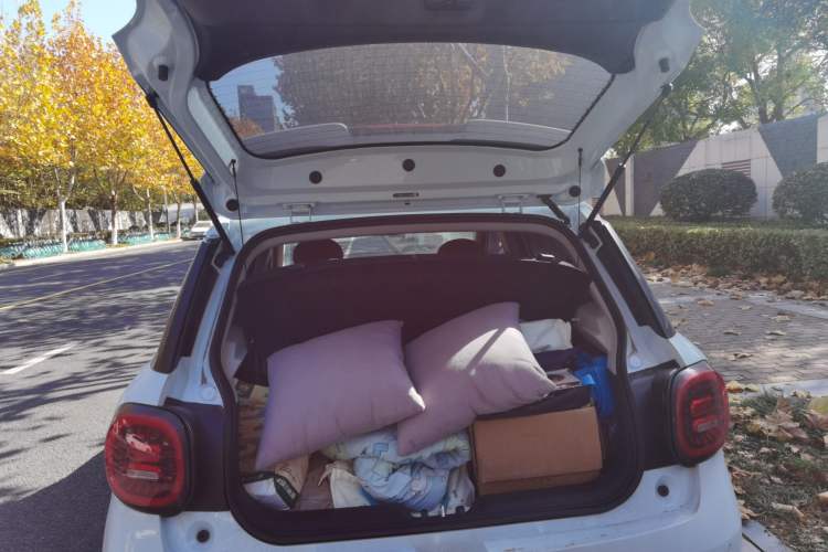 Used JAC Yiwei 3 2023 505 km Championship Edition