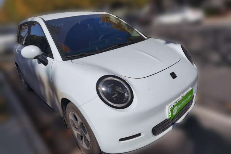 Used JAC Yiwei 3 2023 505 km Championship Edition