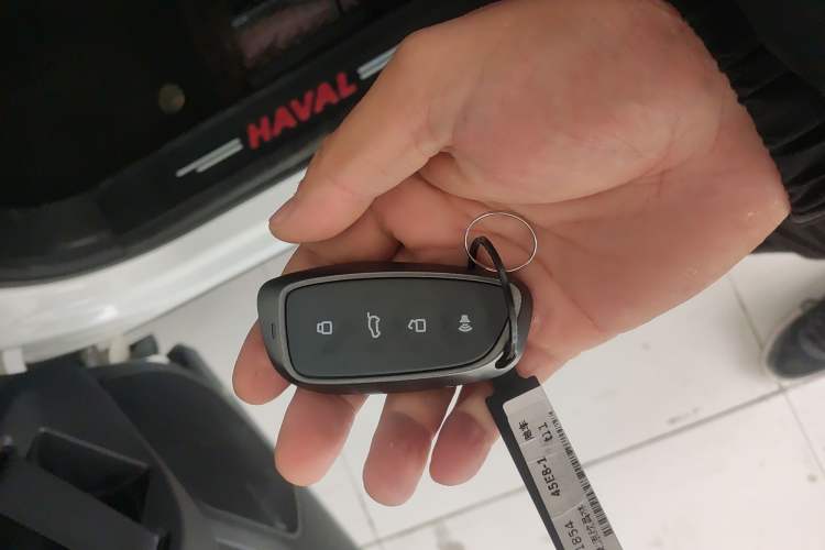 Used Haval H Dog 2023 2.0T All-Wheel-Drive Chaoye Plus