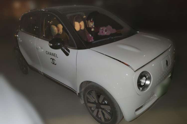 Used ORA Black Cat 2021 351 km Luxury Version