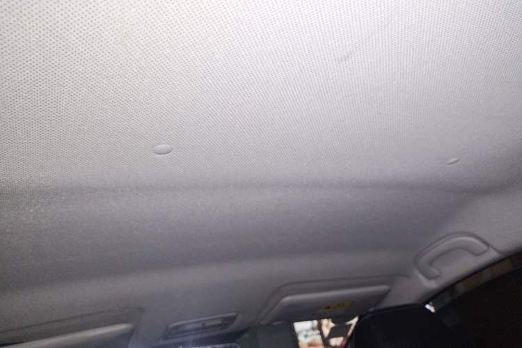 Used BAIC New Energy EC3 2019 Dynamic Edition Headliner