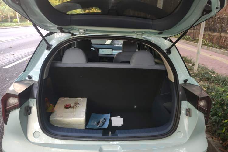 Used Geometry E Firefly 2022 401KM Lightning Tiger 4-Seater
