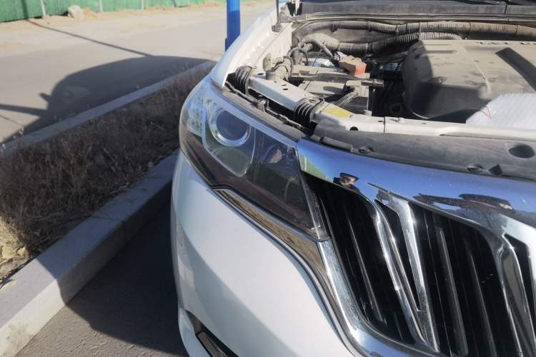 Used Foday Landfort 2017 1.9T Diesel Manual Two-Wheel Drive Flagship Edition 7 Seats