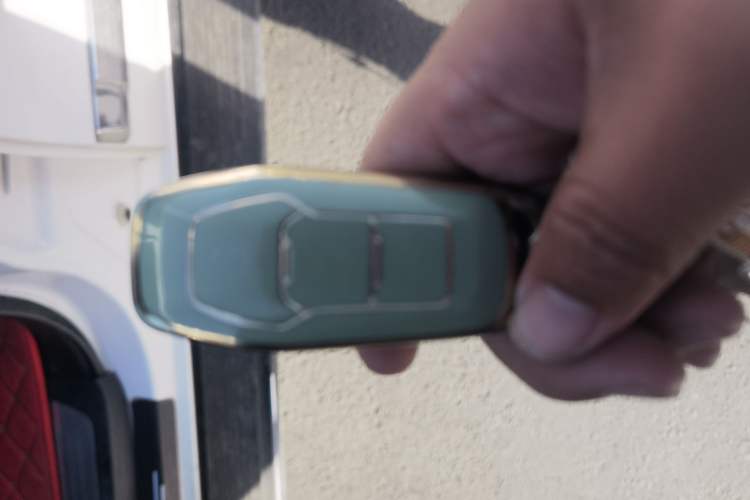 Used Foday Landfort 2017 1.9T Diesel Manual Two-Wheel Drive Flagship Edition 7 Seats