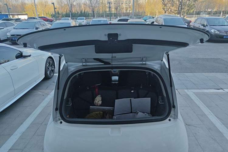 Used ORA White Cat 2020 360 km Luxury Version
