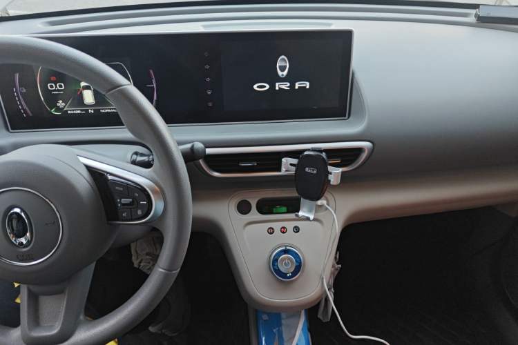 Used ORA White Cat 2020 360 km Luxury Version
