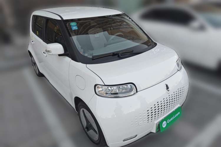 Used ORA White Cat 2020 360 km Luxury Version
