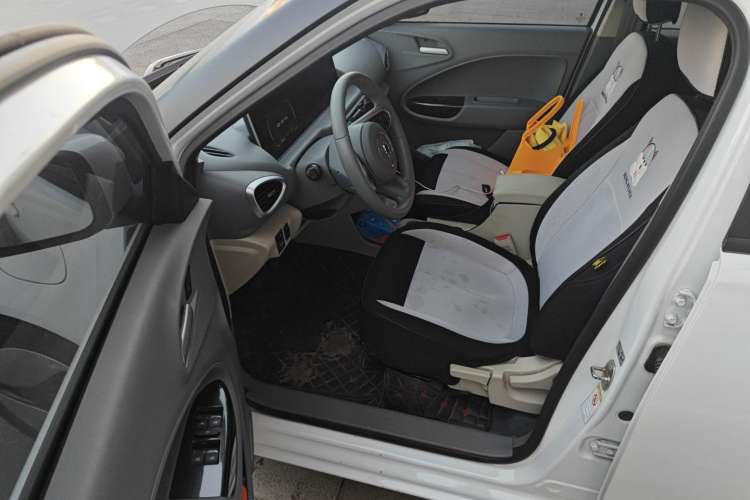 Used ORA White Cat 2020 360 km Luxury Version
