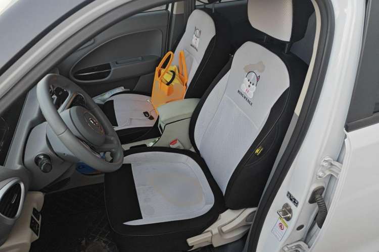 Used ORA White Cat 2020 360 km Luxury Version
