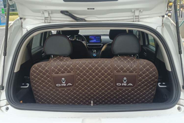 Used ORA White Cat 2020 360 km Luxury Version
