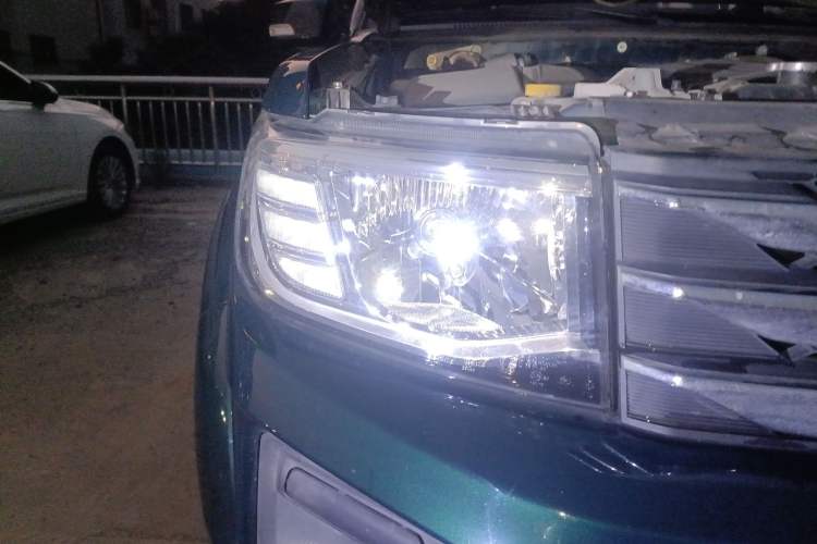 Used Dongfeng Ruichi 2021 2.4L Gasoline Two-Wheel-Drive Base Model for Entrepreneurship Model 2TZD
