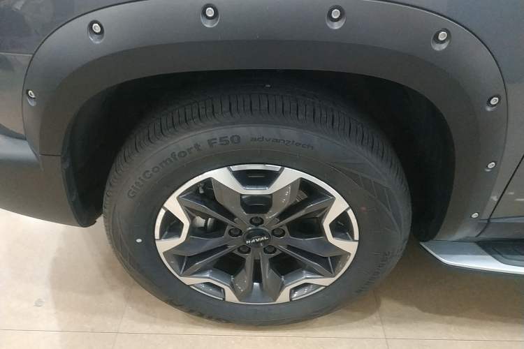 Used Haval DARGO 2022 2.0T DCT 4x4 Chinese Rural Dog Hunting Edition