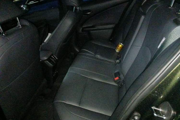 Used Lexus UX New Energy 2020 300e Pure·Joy Edition Left Rear Seat